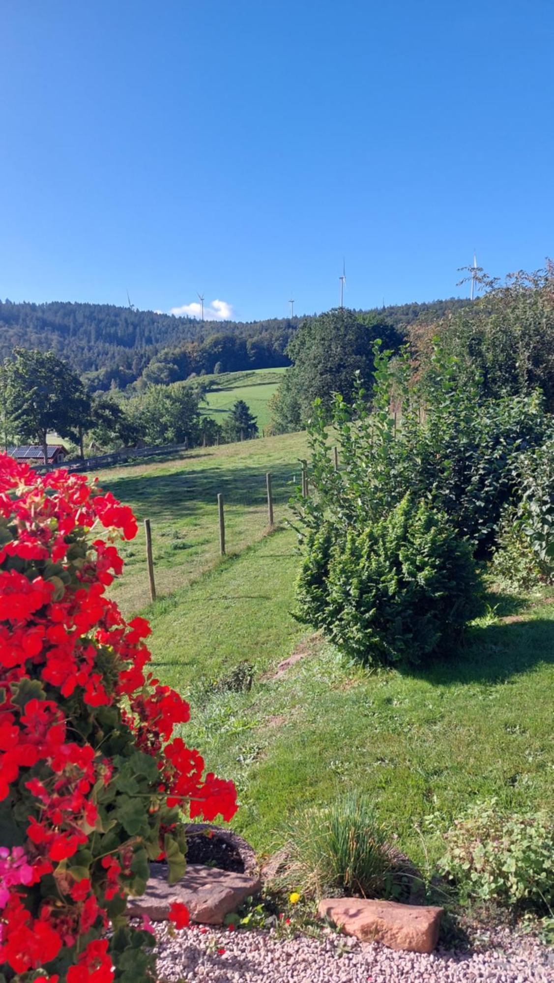 Dom wakacyjny Bergfeldhof Haingrund